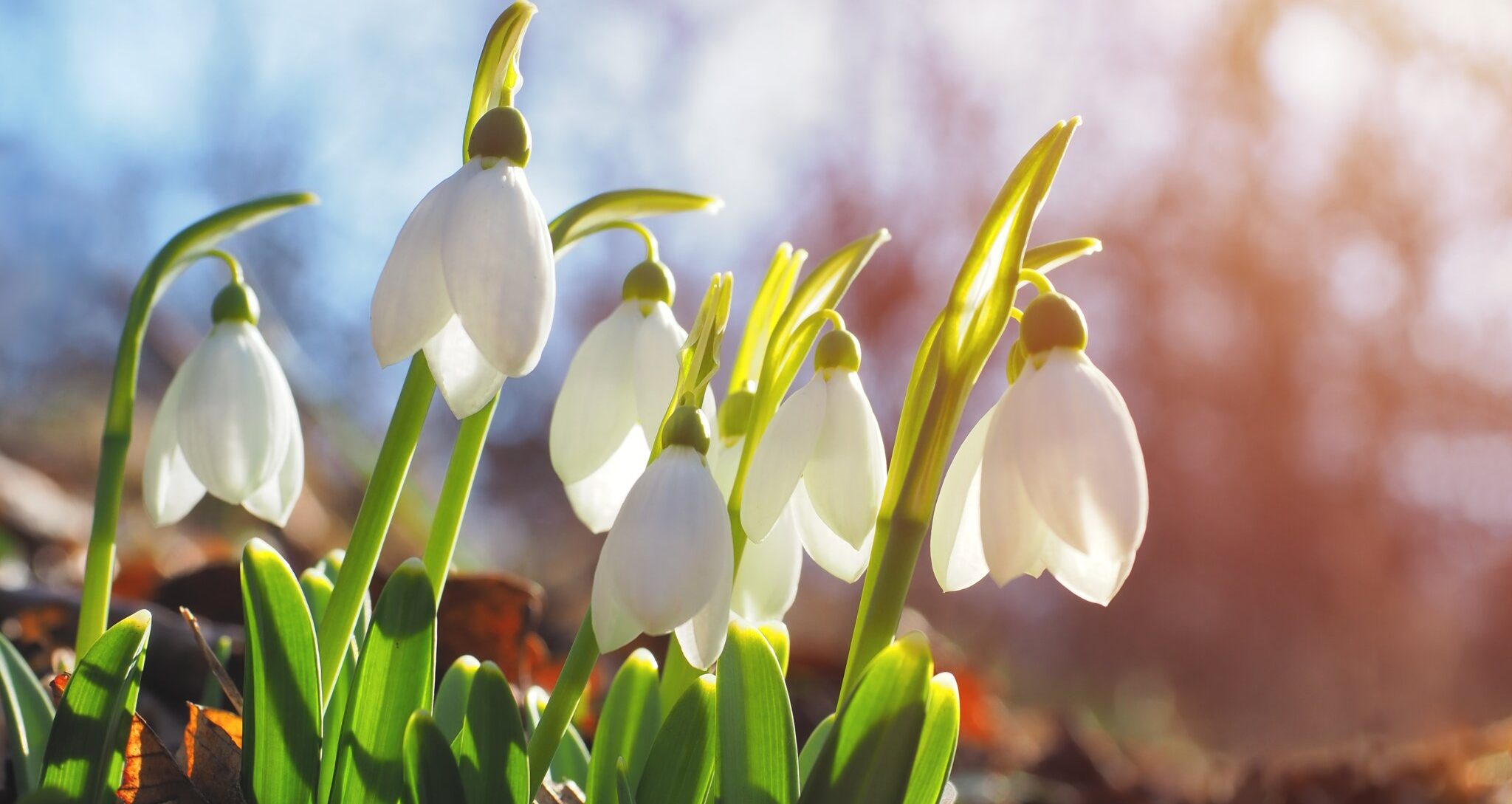 Huisartsenpraktijk Nijhof & Wassenaar-Hrlic